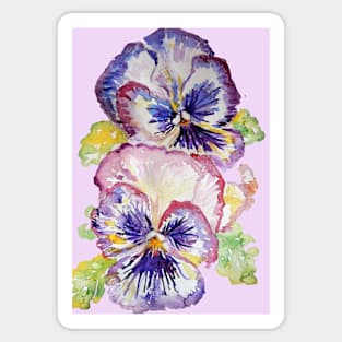 Pansy Watercolor Purple Flower Pattern on Lilac Pink Sticker